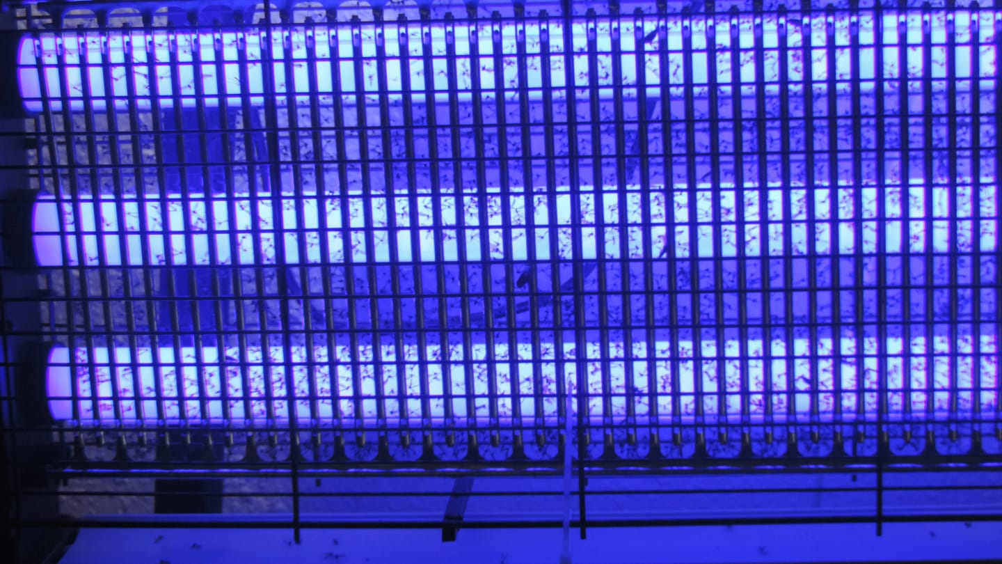 Customer photo review of Photocatalysis Electric Mosquito Killer Lamp - Silent Physical LED Bug Zapper & Insect Trap for Indoor & Outdoor Home Use