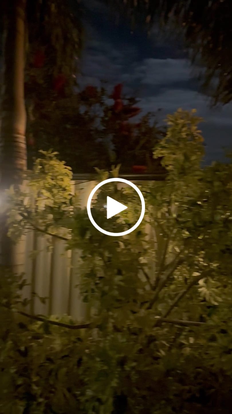 Customer video review of Solar Festoon Lights