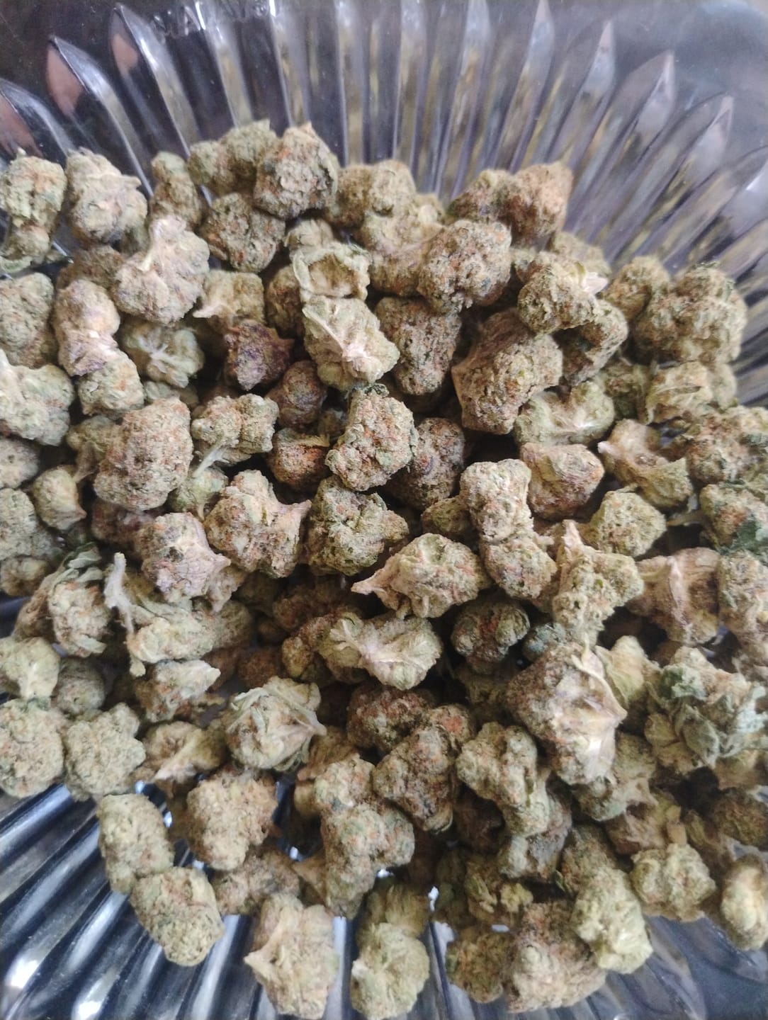 Customer photo review of White Durban (Exotic Smalls) - THCA Flower