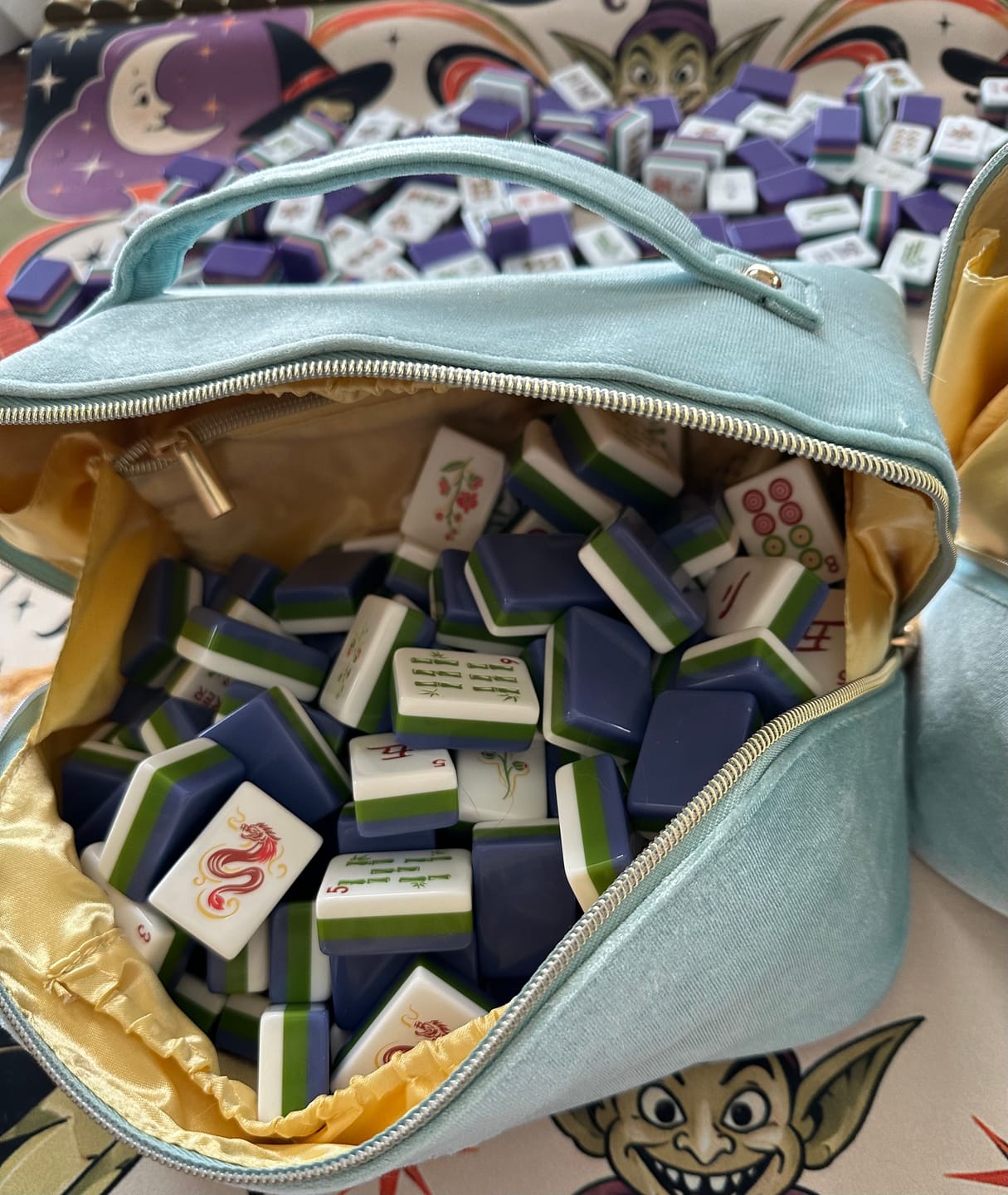 Customer photo review of Sky Blue Velvet Tile Zipper Bag