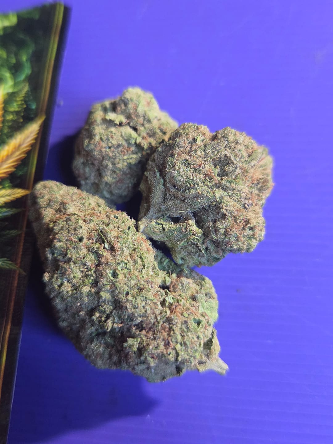 Customer photo review of Lyon King THCA Flower