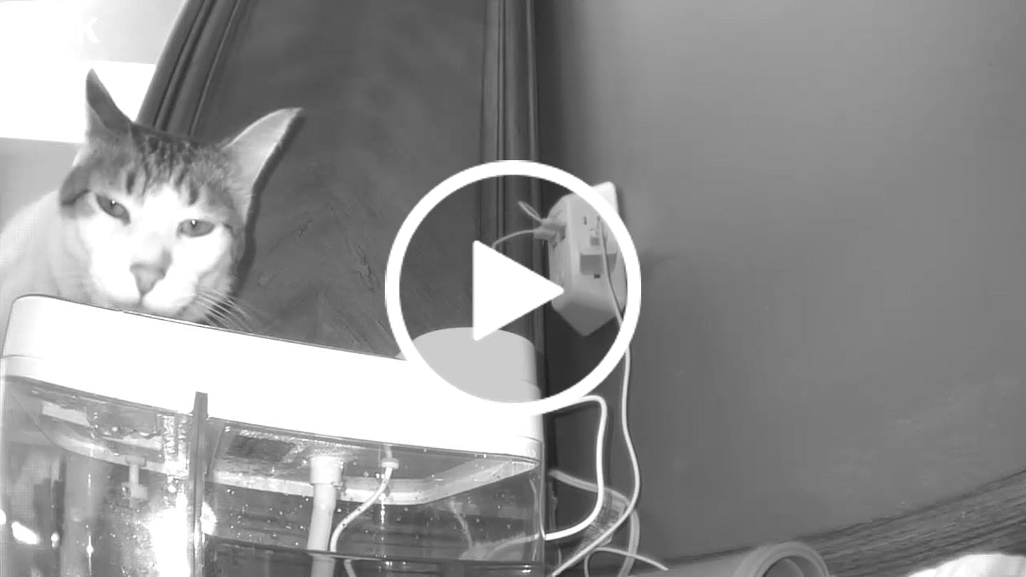 Customer video review of Purestream AquaOne - Automatic Cat Fountain