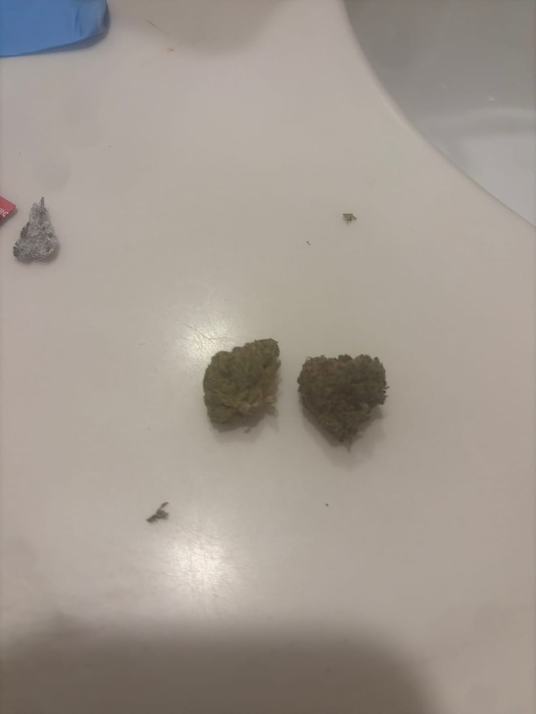 Customer photo review of Blue Sharpiez THCA Flower