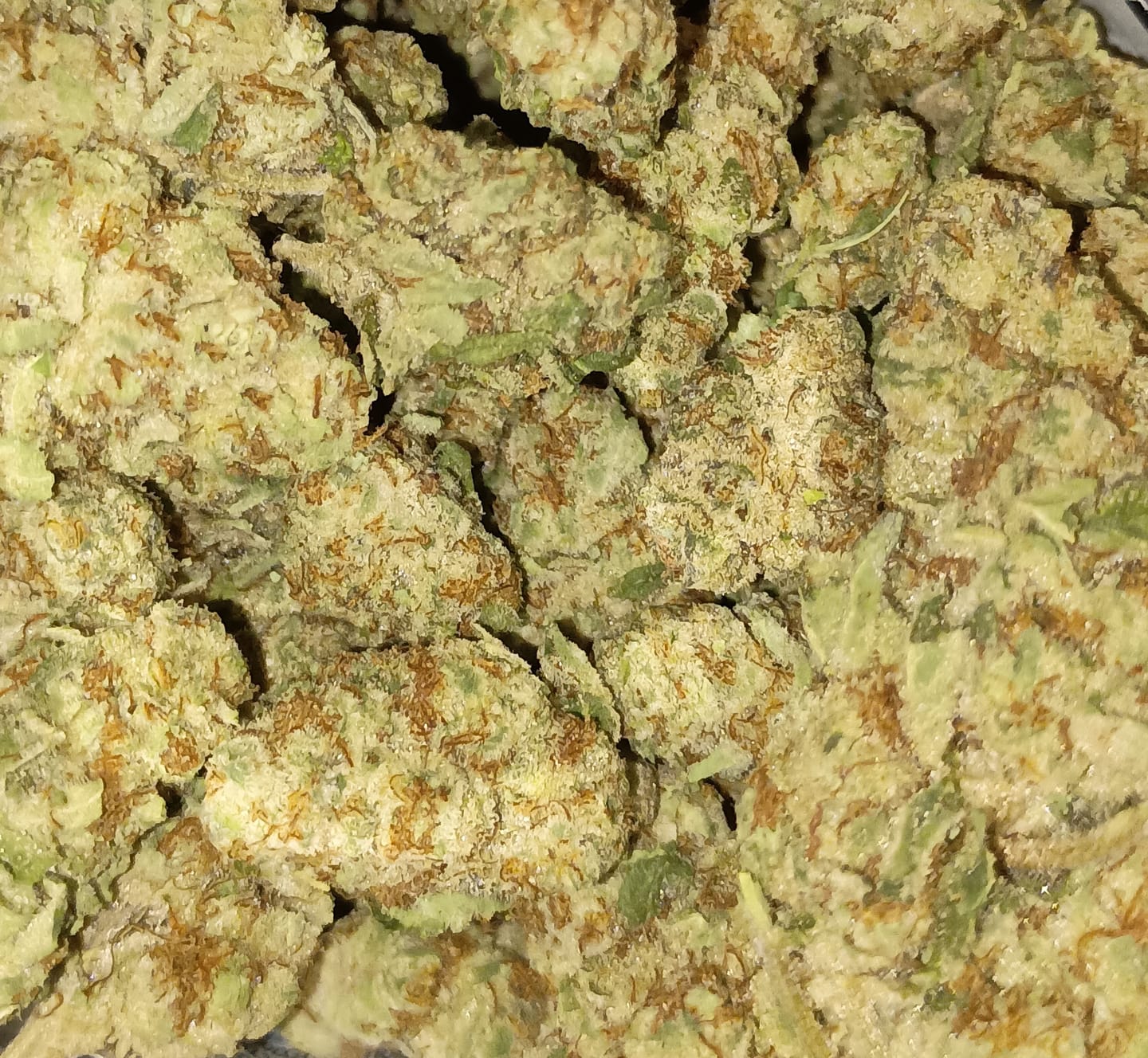 Customer photo review of Blewtooth THCA Flower
