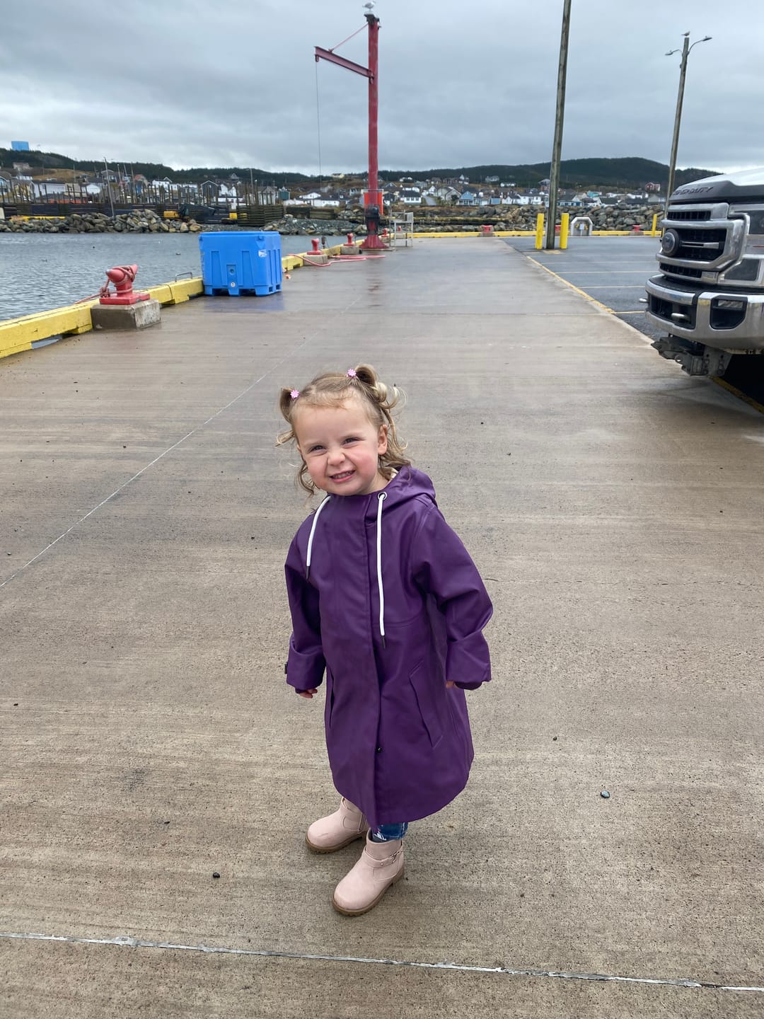 Customer photo review of The mini - Purple Rain