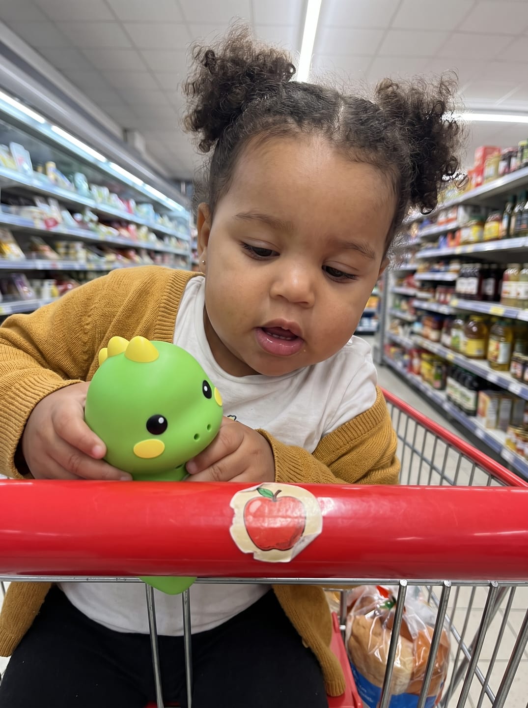 Customer photo review of Talking Dino - Educative Toy