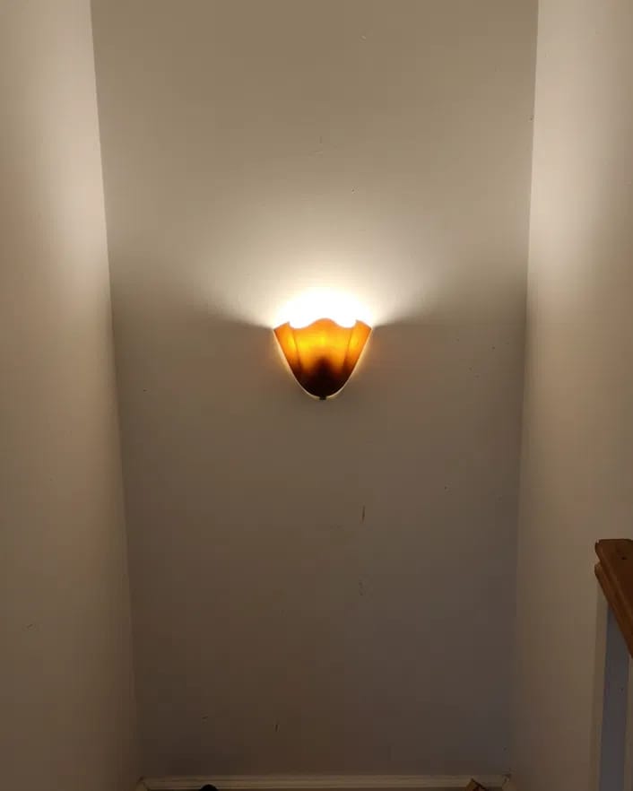 Customer photo review of Sculpted Glass Flower Wall Sconce