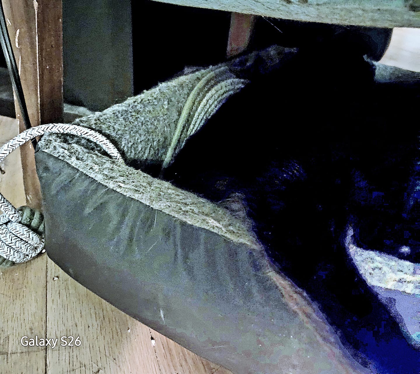 Customer photo review of Instinct Mat | The Scratching Mat Her Biology Actually Recognizes (NEW)