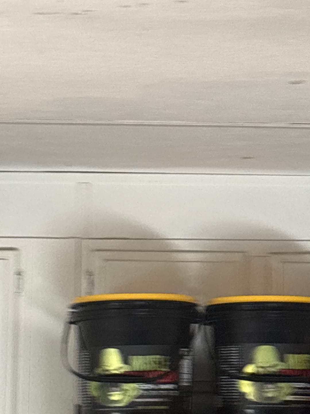 Customer photo review of Whey Protein Powder Bucket