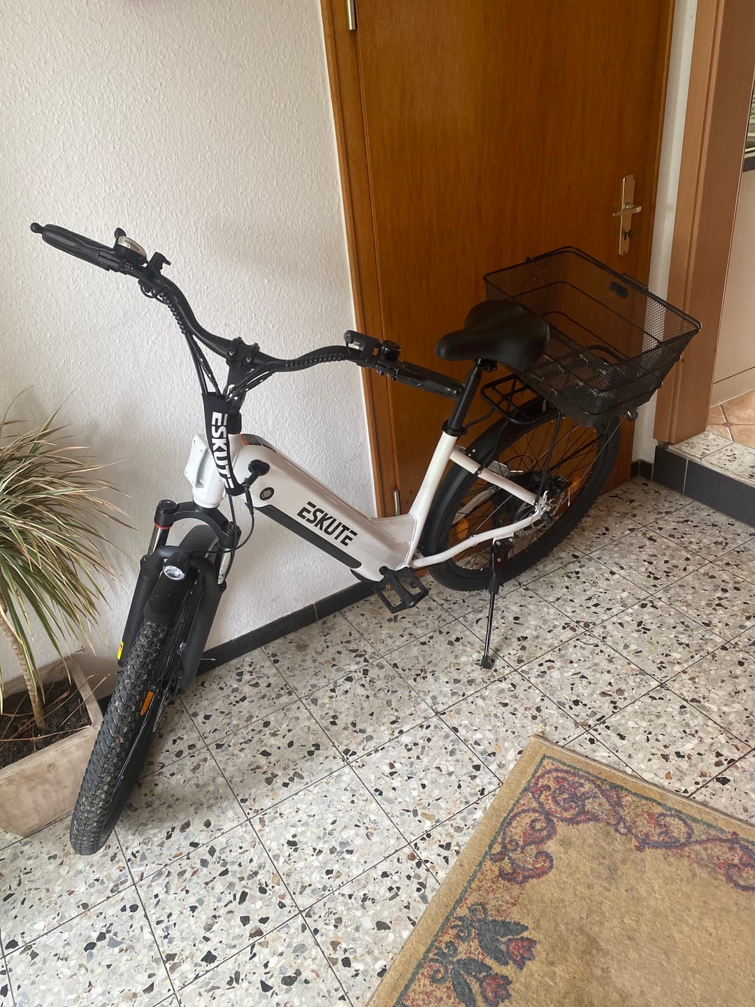 Customer photo review of Eskute C202 City E-Bike