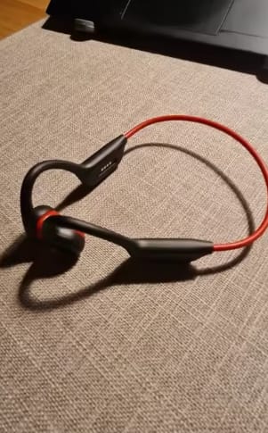 Customer photo review of Auriculares Sumergibles Viewpods