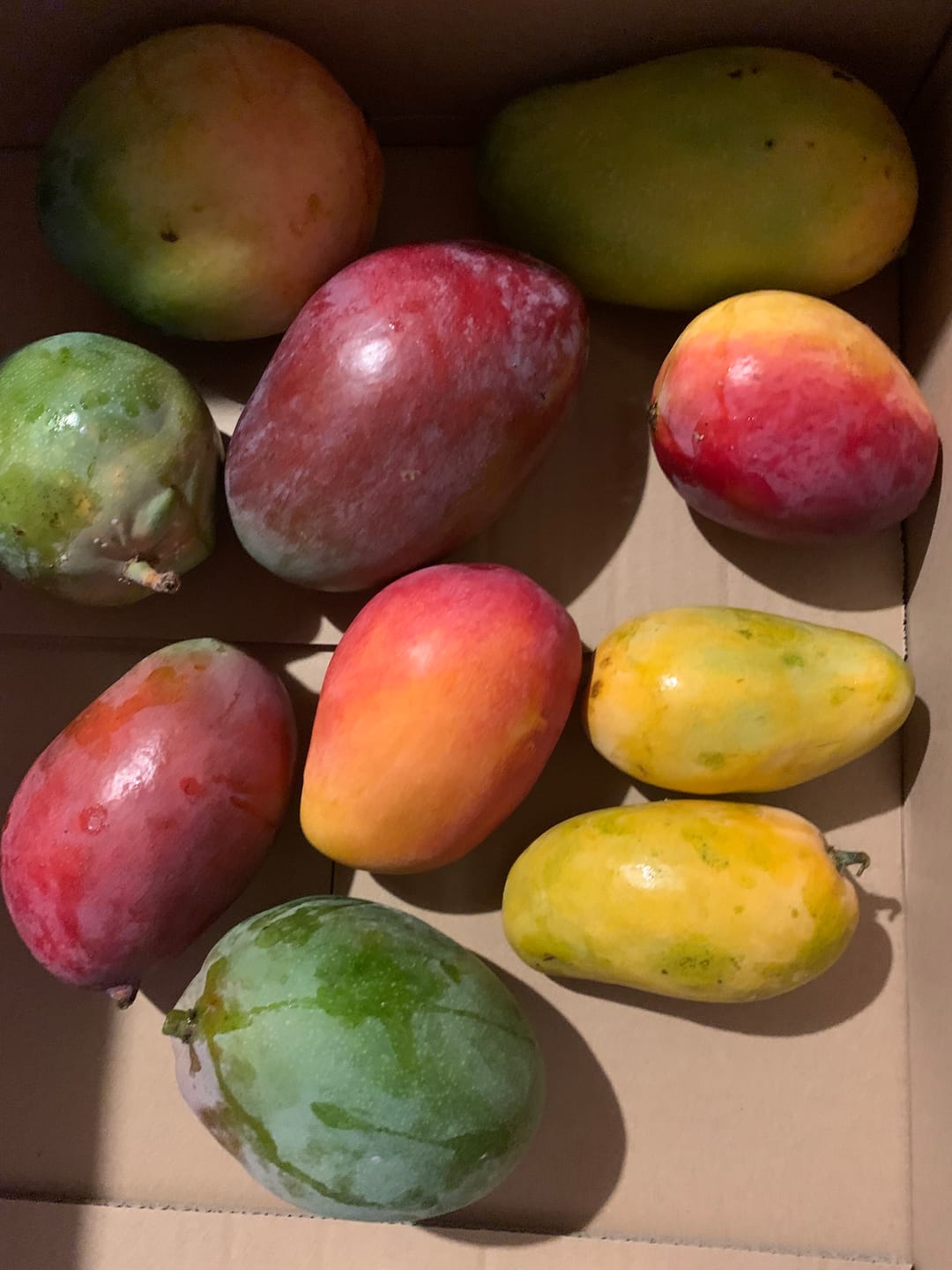 Customer photo review of Mango-Mix Bio von Julian 4kg Aktionspreis %