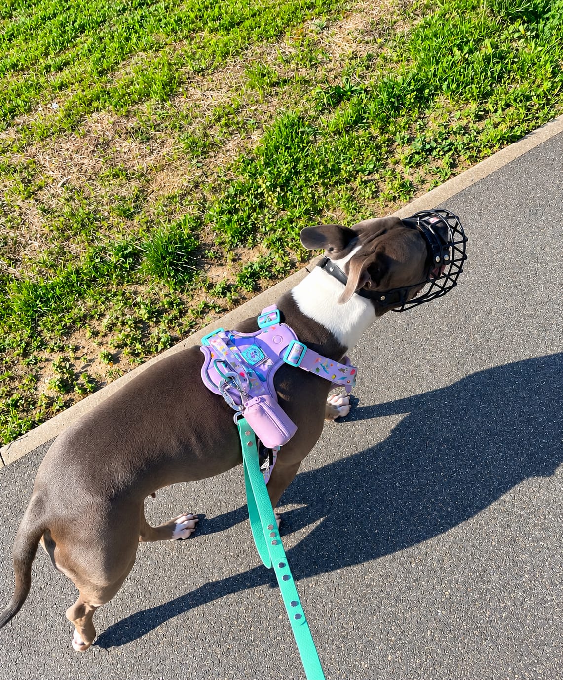 Customer photo review of Anti Pull Hurricane Harness Lighter | With Handle - BalmyBillows Purple