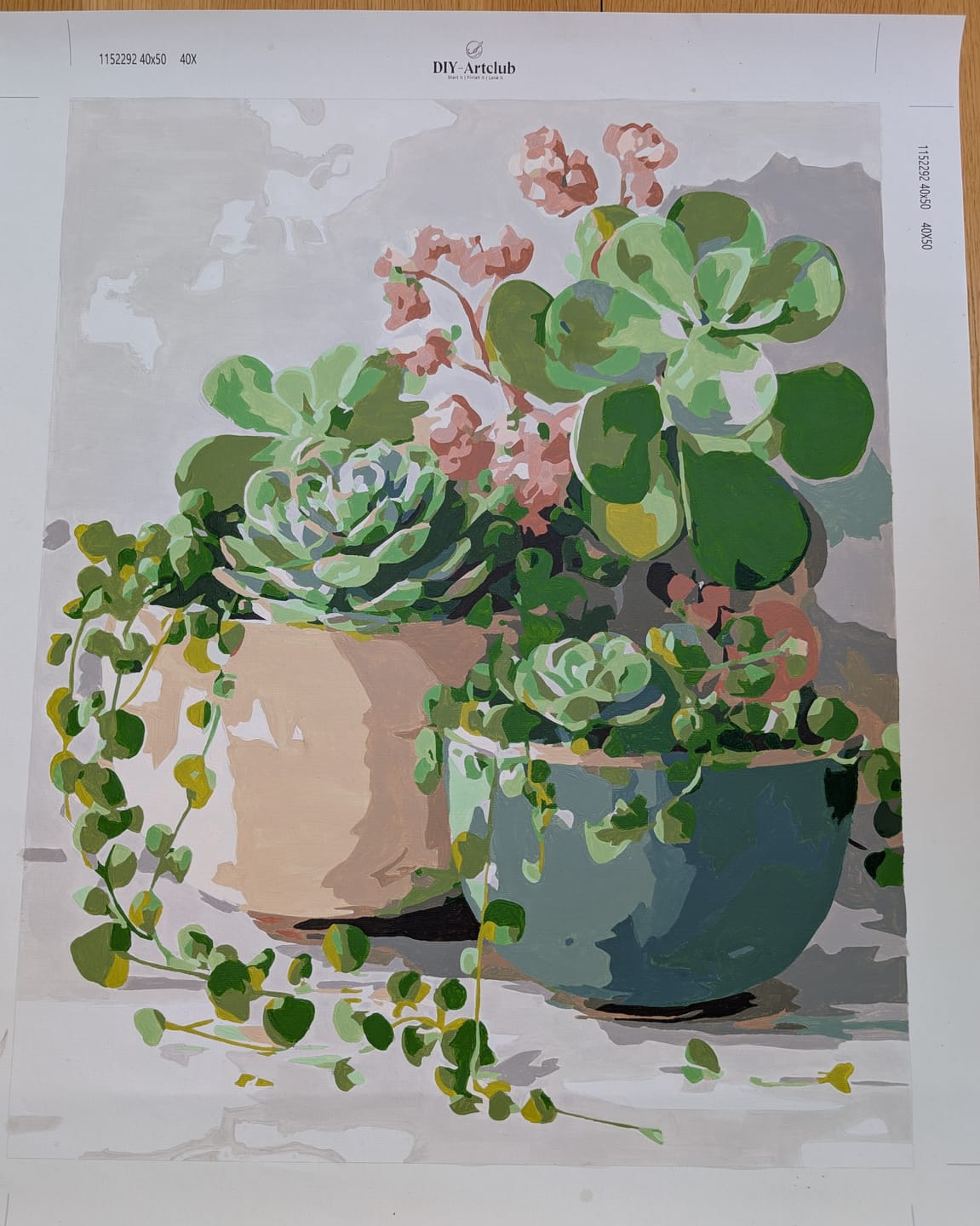 Customer photo review of Spring Succulents | Paint by Number