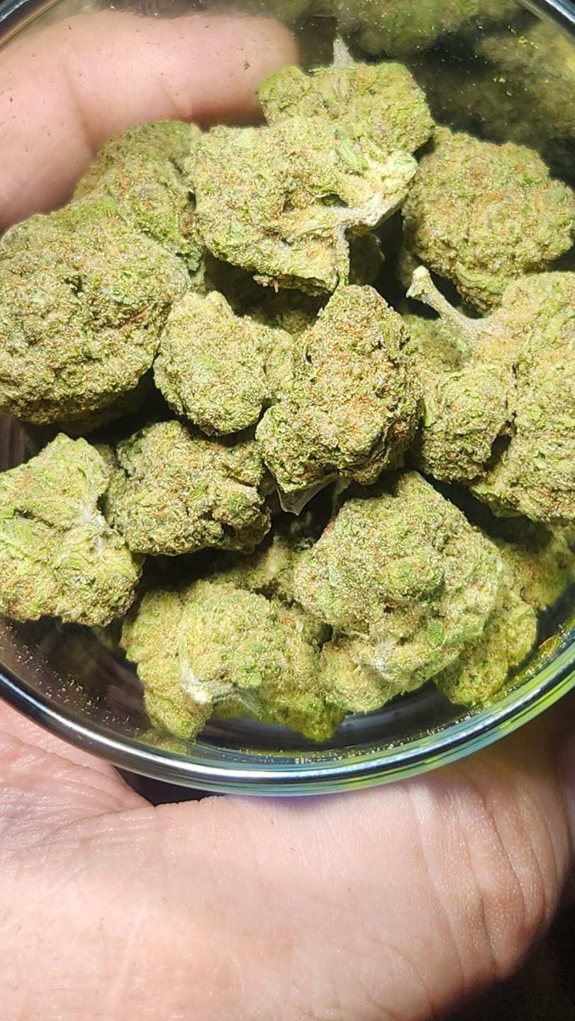 Customer photo review of Lyon King THCA Flower