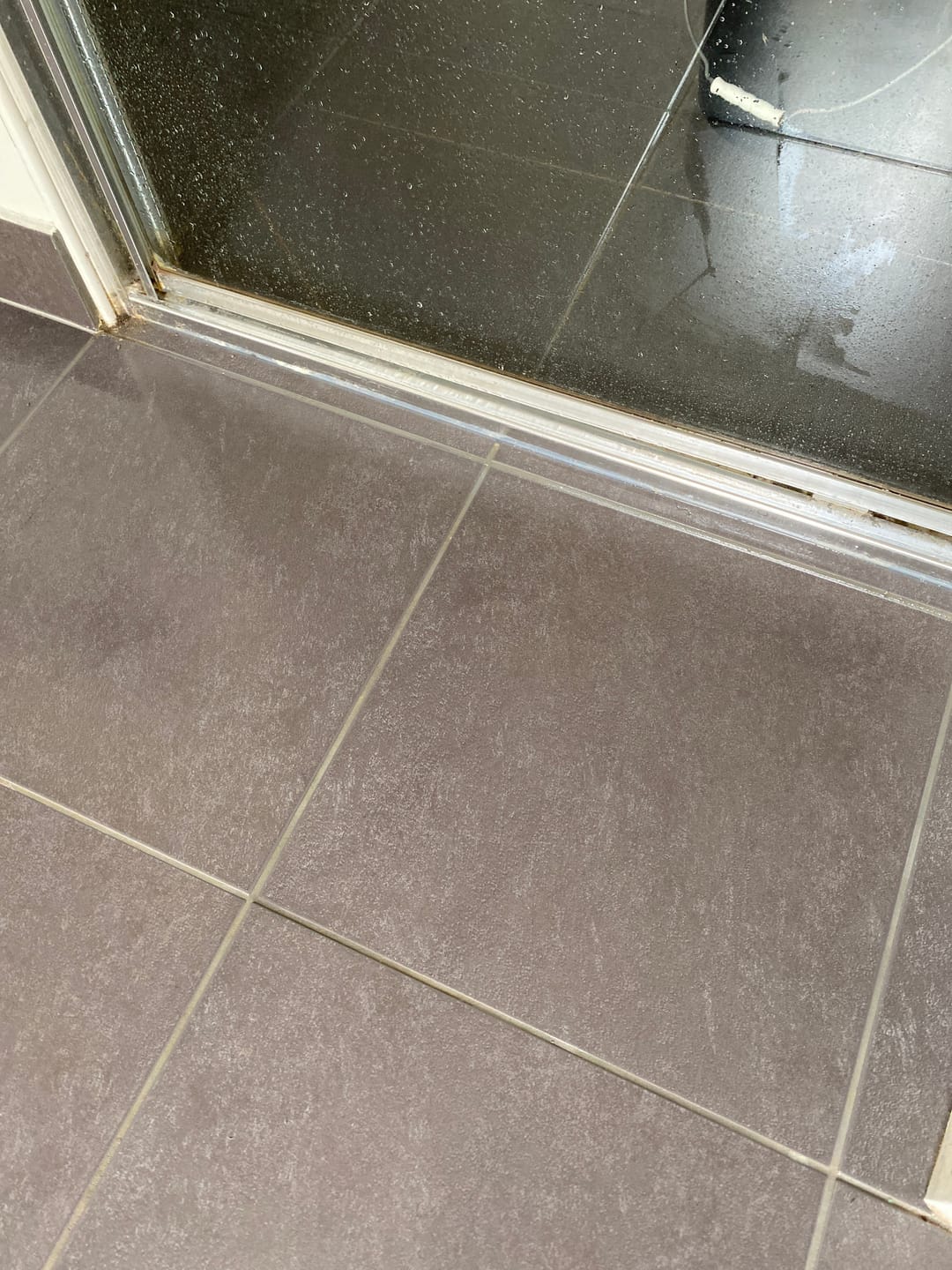 Customer photo review of THE EVERYTHING SCRUBBER
