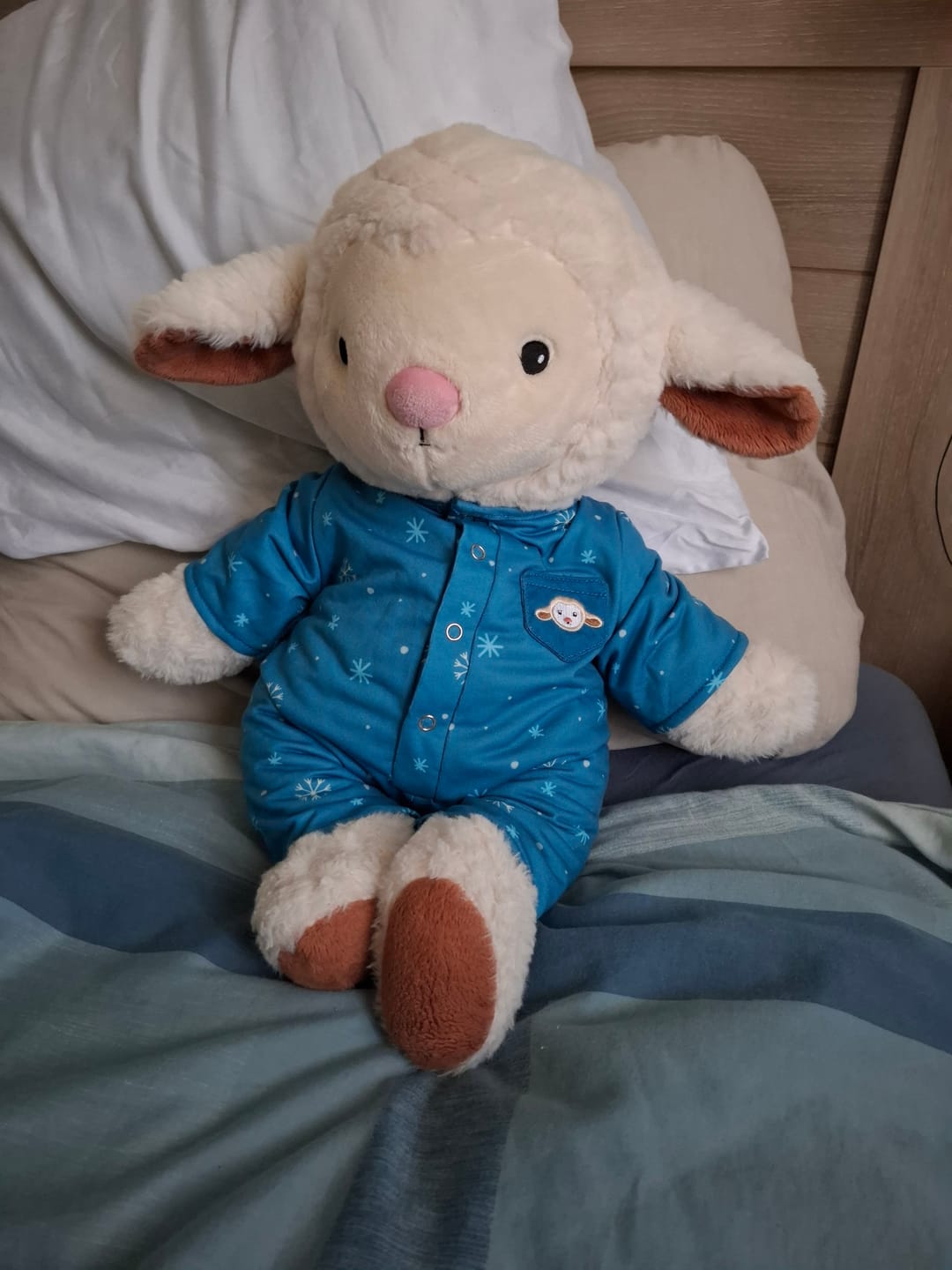 Customer photo review of Schaap Kleding Winter Lotgenootje