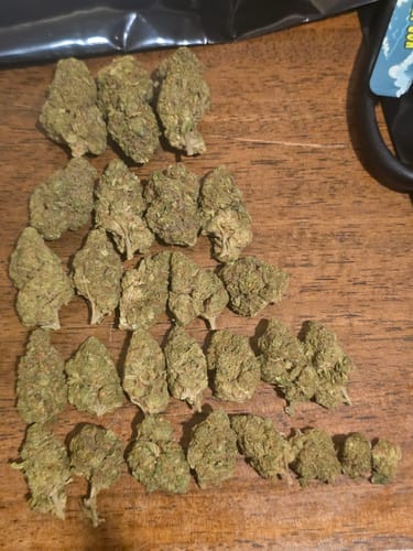 Customer's Puffaroo Key Lime Jack cannabis flower buds arranged in rows on a wooden surface.