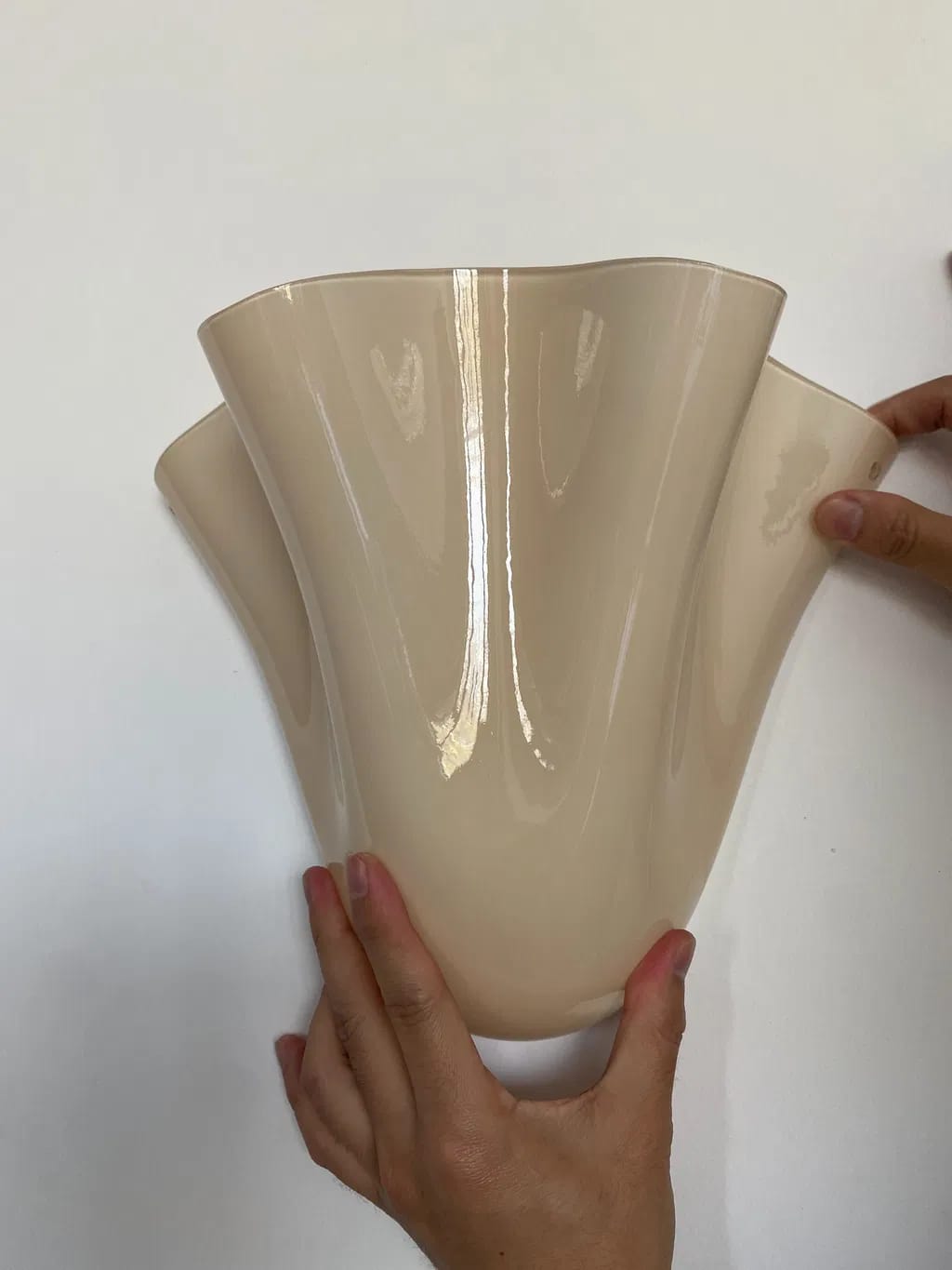 Customer photo review of Sculpted Glass Flower Wall Sconce
