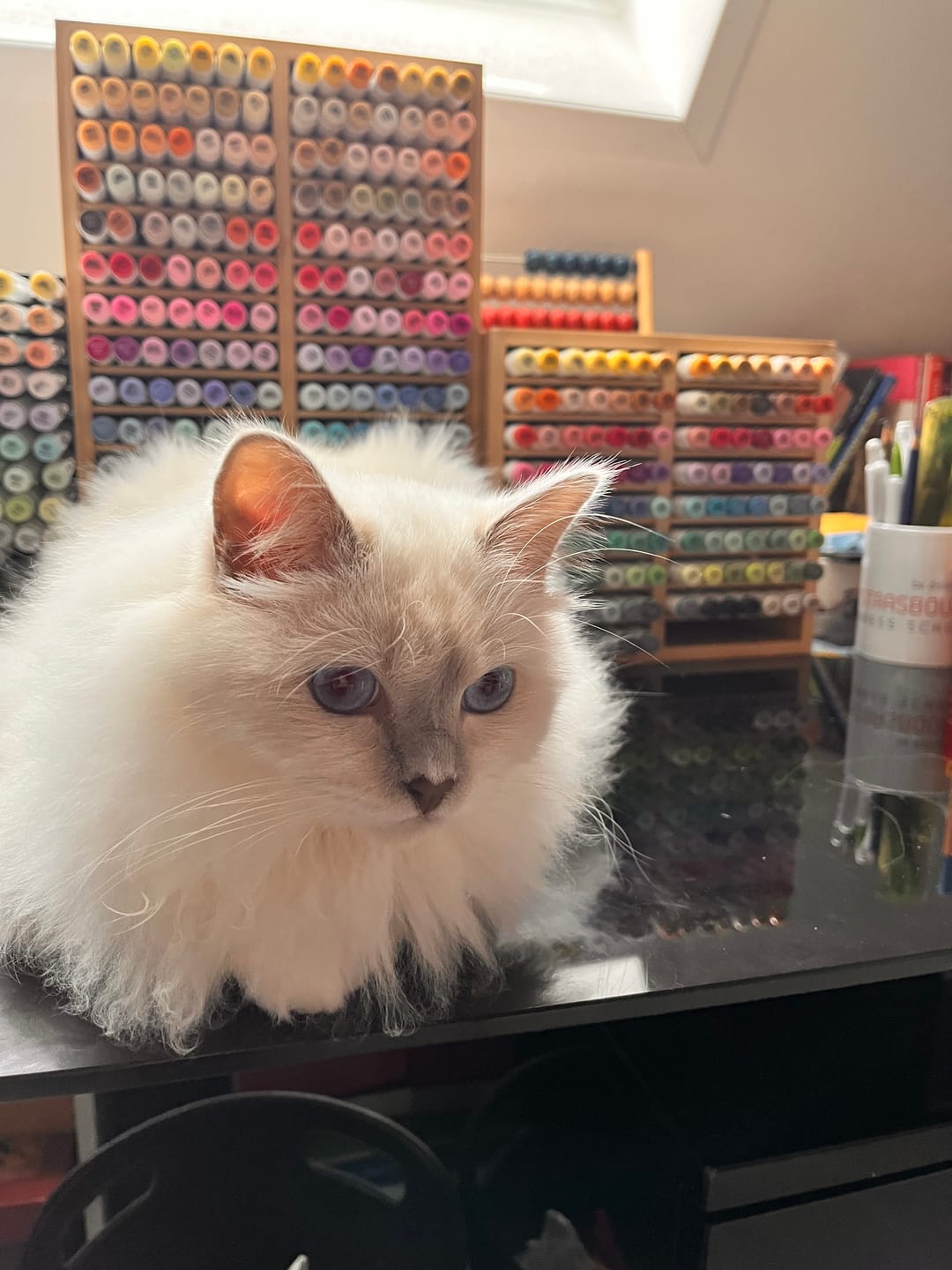 Customer photo review of Ohuhu Bamboo Marker Organizer