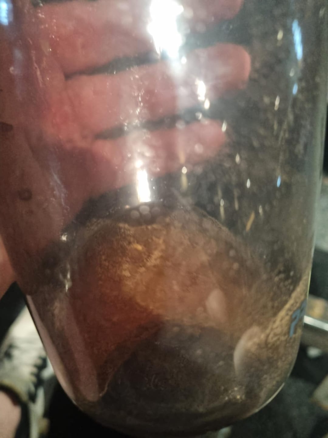 Customer photo review of Warrior Pump Pre-Workout Powder