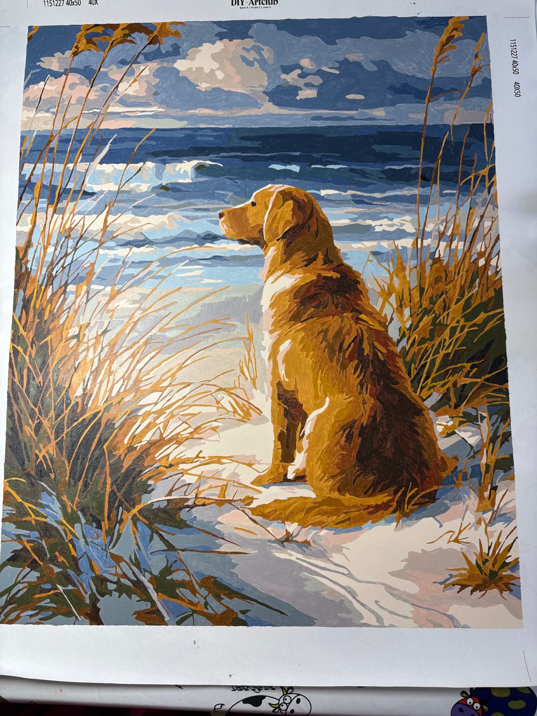 Customer photo review of Waiting Labrador | Paint by Number