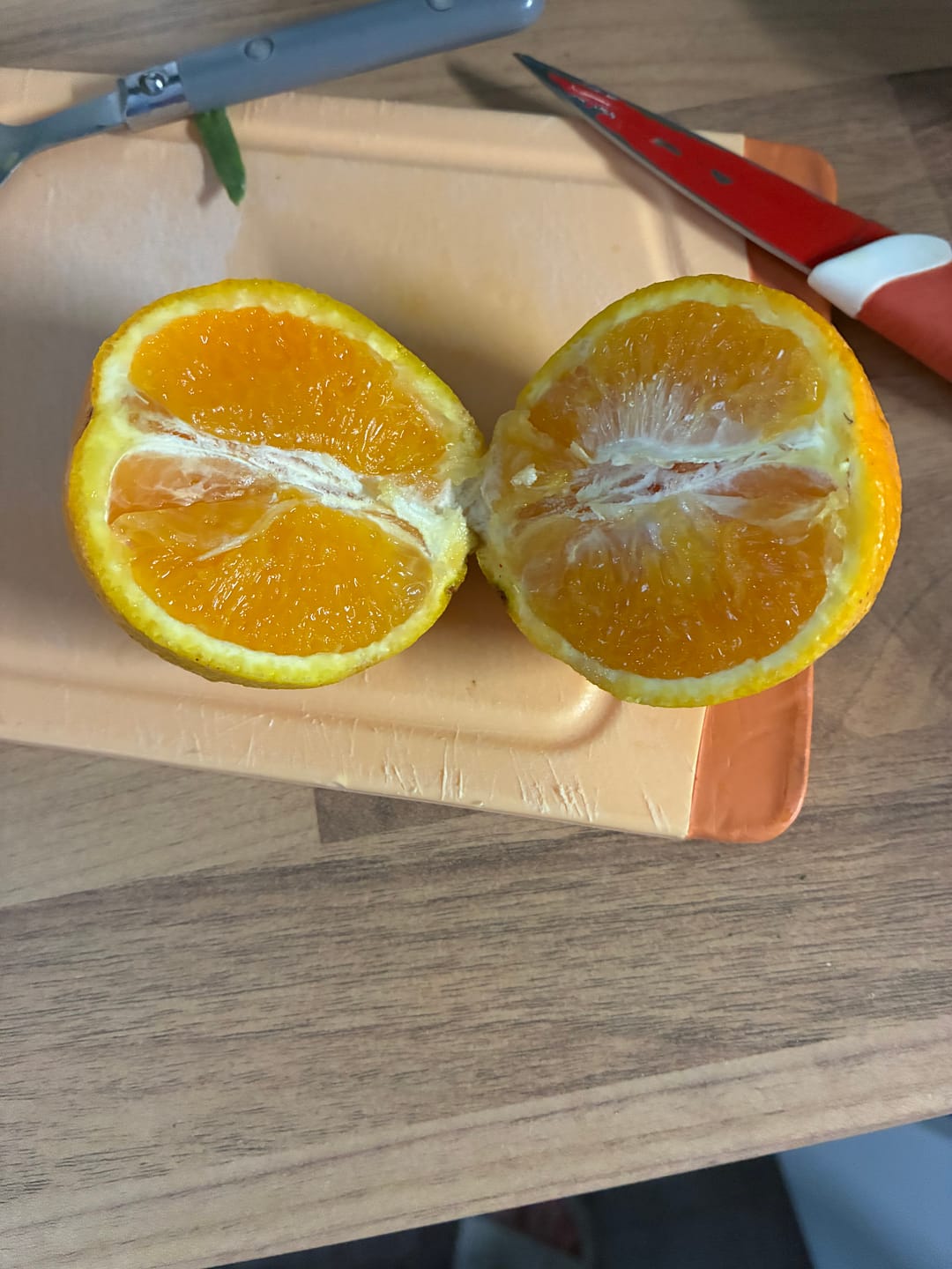 Customer photo review of Sommer-Saftorangen Bio aus Kreta