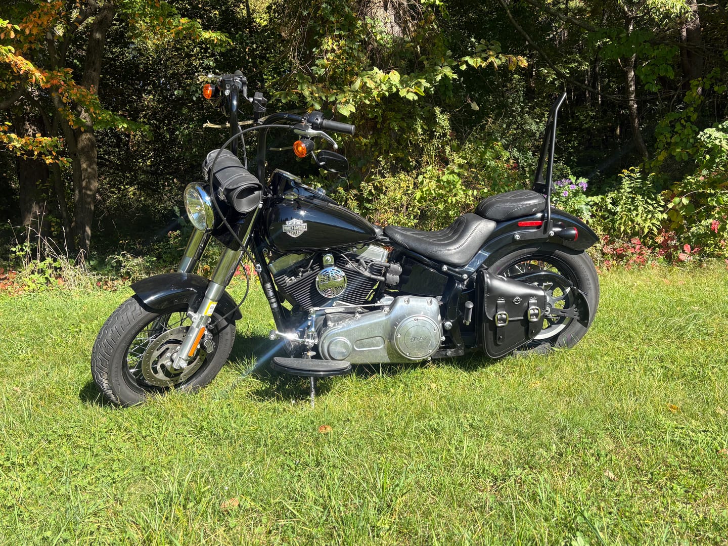 Customer photo review of 3L - Vintage Motorcycle Swingarm Bag for Harley Softail