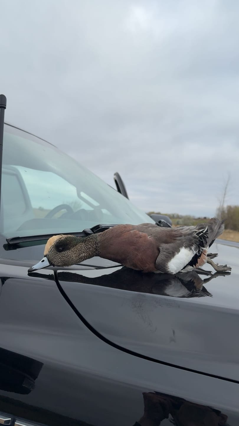 Customer photo review of CQ2 Duck Call