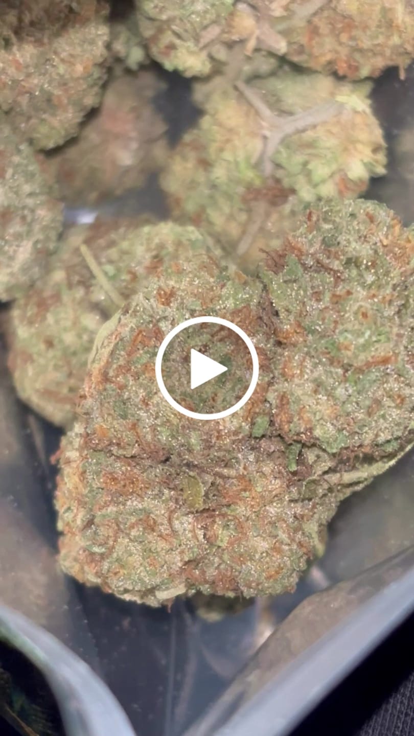Customer video review of Gorilla Glue THCA Flower