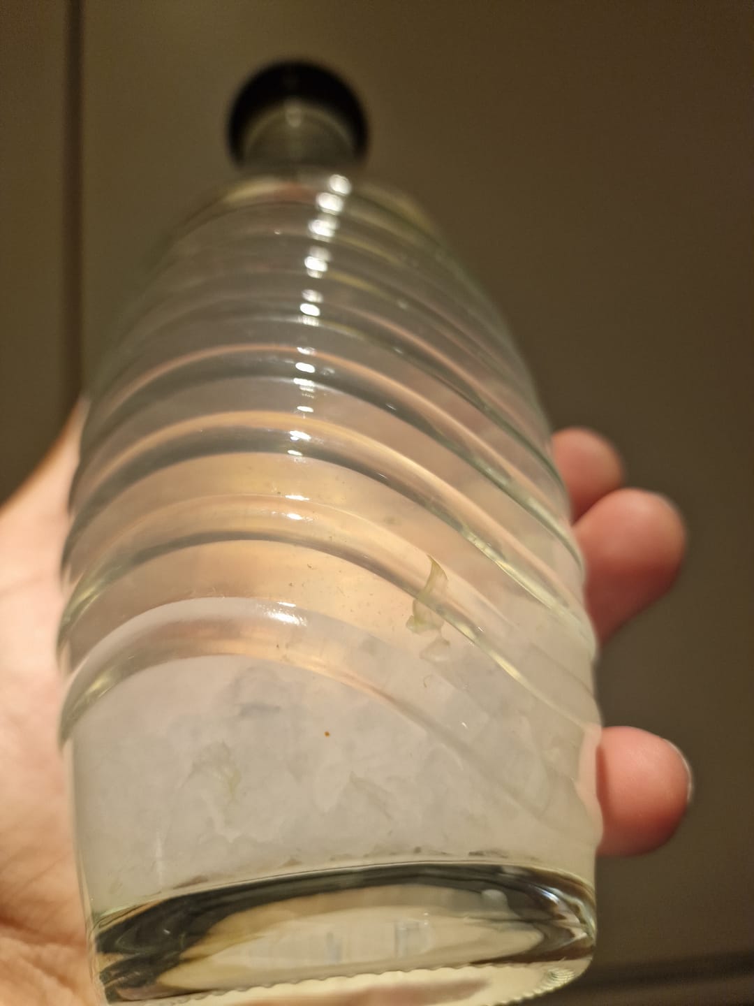Customer photo review of Wasserkefir Bio