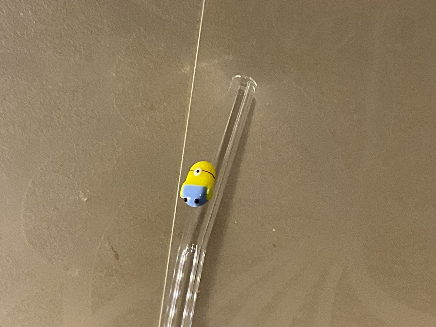 Customer photo review of Straws