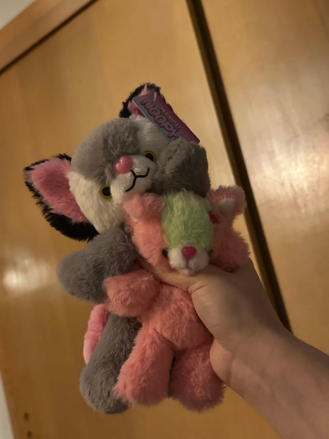 Customer photo review of Magical Noopy2 Plush - PORTER