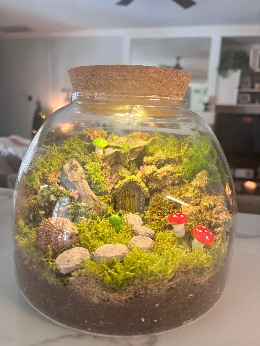 Customer photo review of Light Up Terrarium Kit