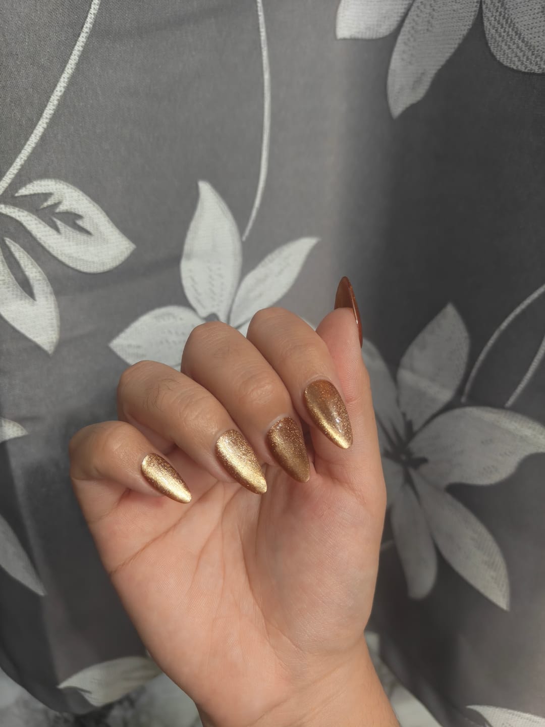 Customer photo review of Light Brown Color Cat-eye Nails
