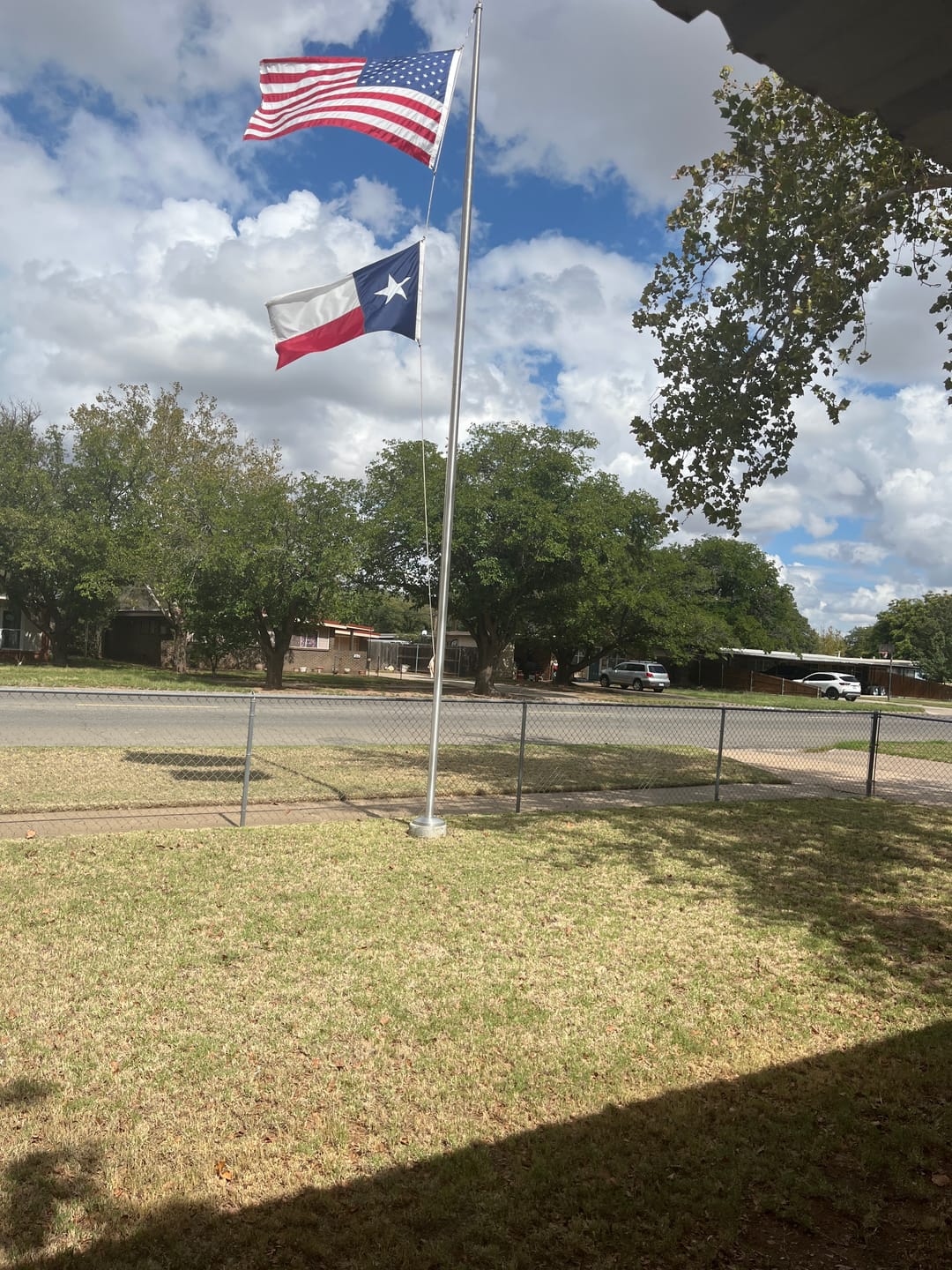 Customer photo review of 3' x 5' Texas Flag