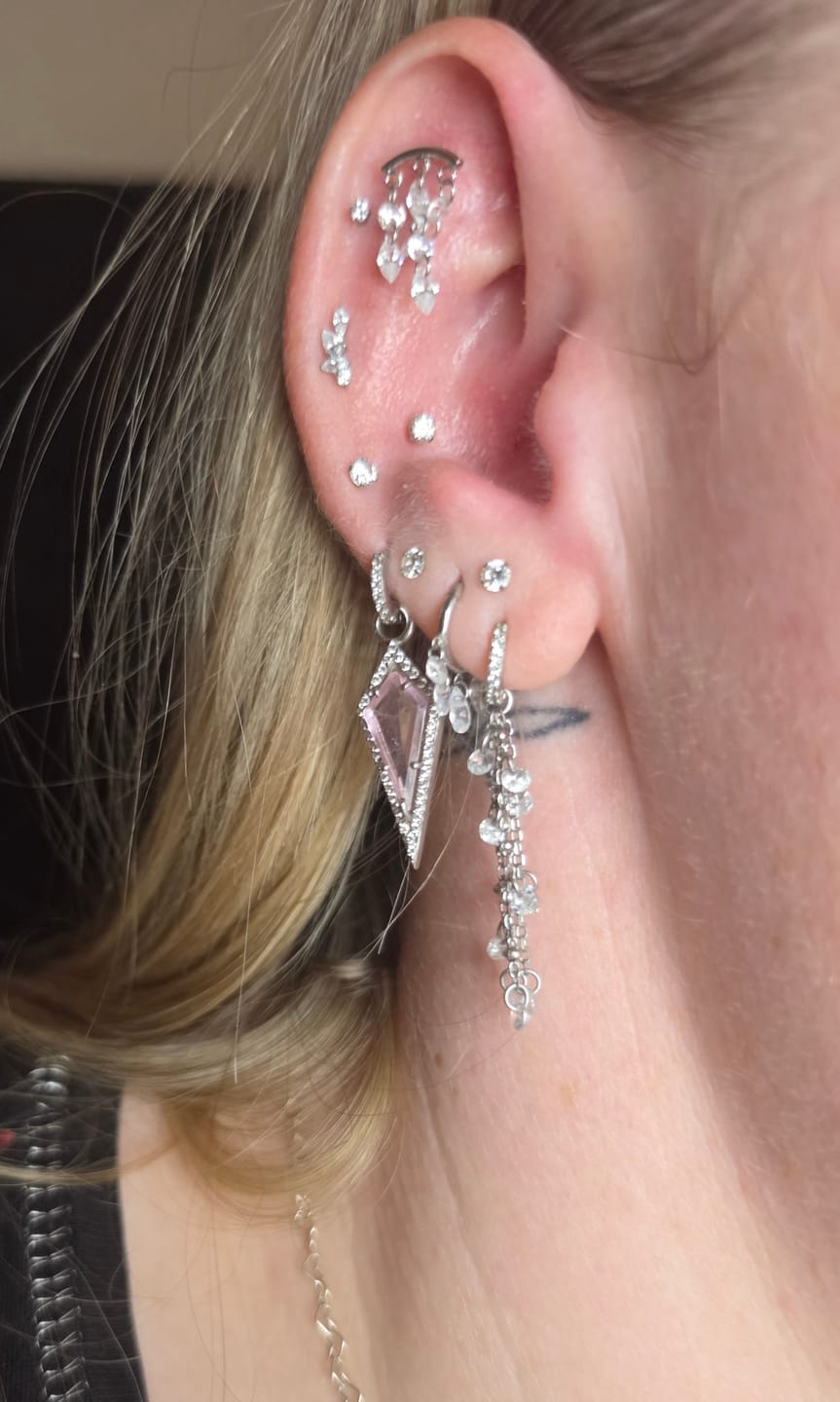 Customer photo review of DEIA Curved Cartilage Stud