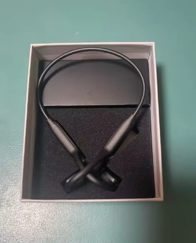 Customer photo review of Auriculares Sumergibles Viewpods