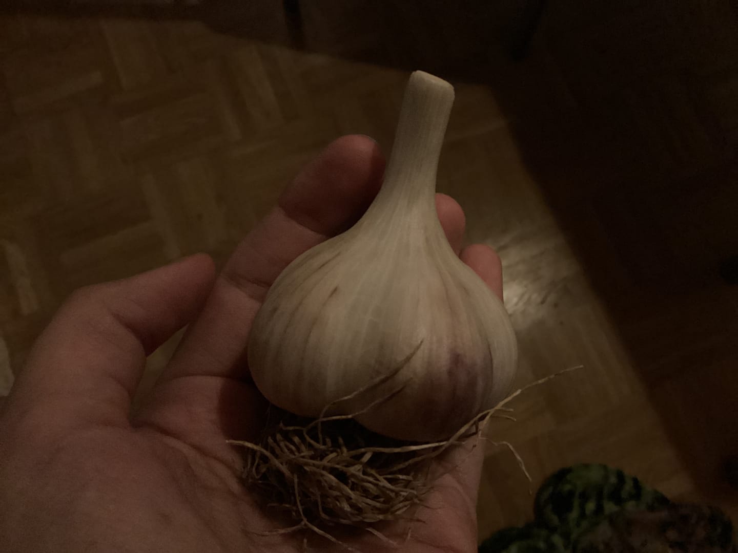 Customer photo review of Pflanzknoblauch ‘Ljubascha’: Bio-Pflanzgut aus Erhaltungsanbau