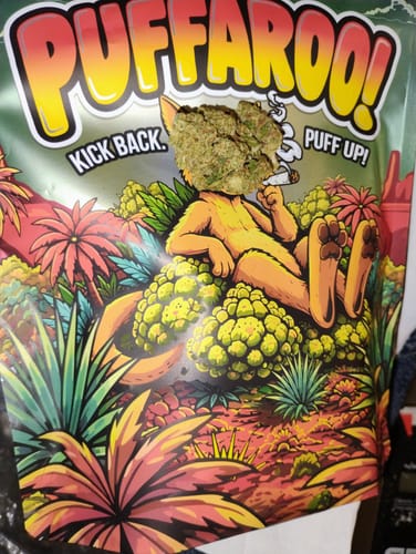 Customer's Maui Wowie THCa flower placed on a Puffaroo pouch with colorful, tropical illustration