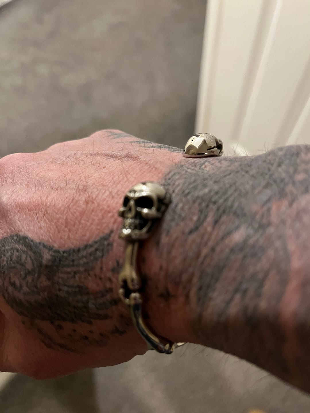 Customer photo review of SKULLED.
