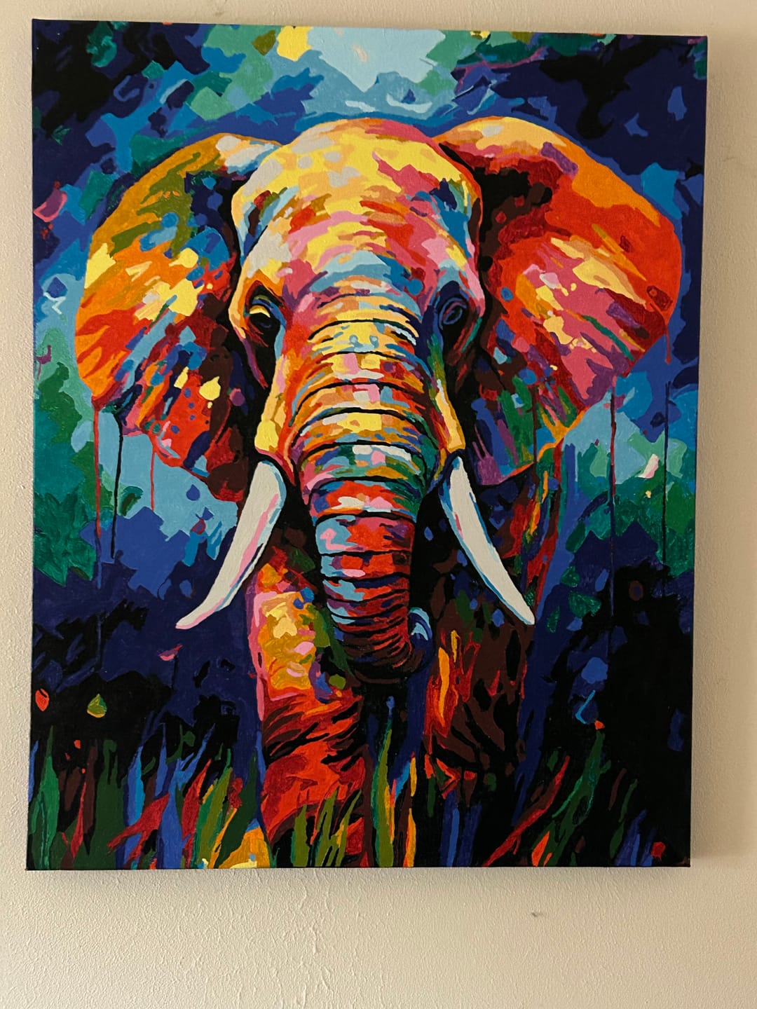 Customer photo review of Éléphant Coloré Abstrait