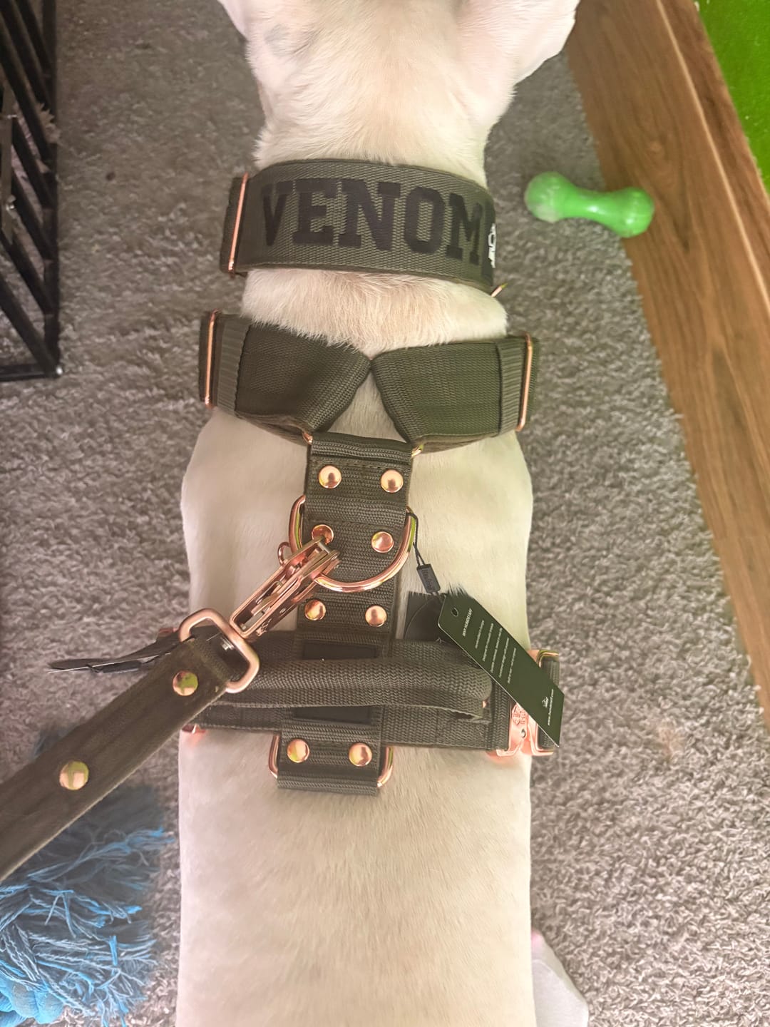 Customer photo review of Smycz z dodatkową rączką - Guard Leash Khaki