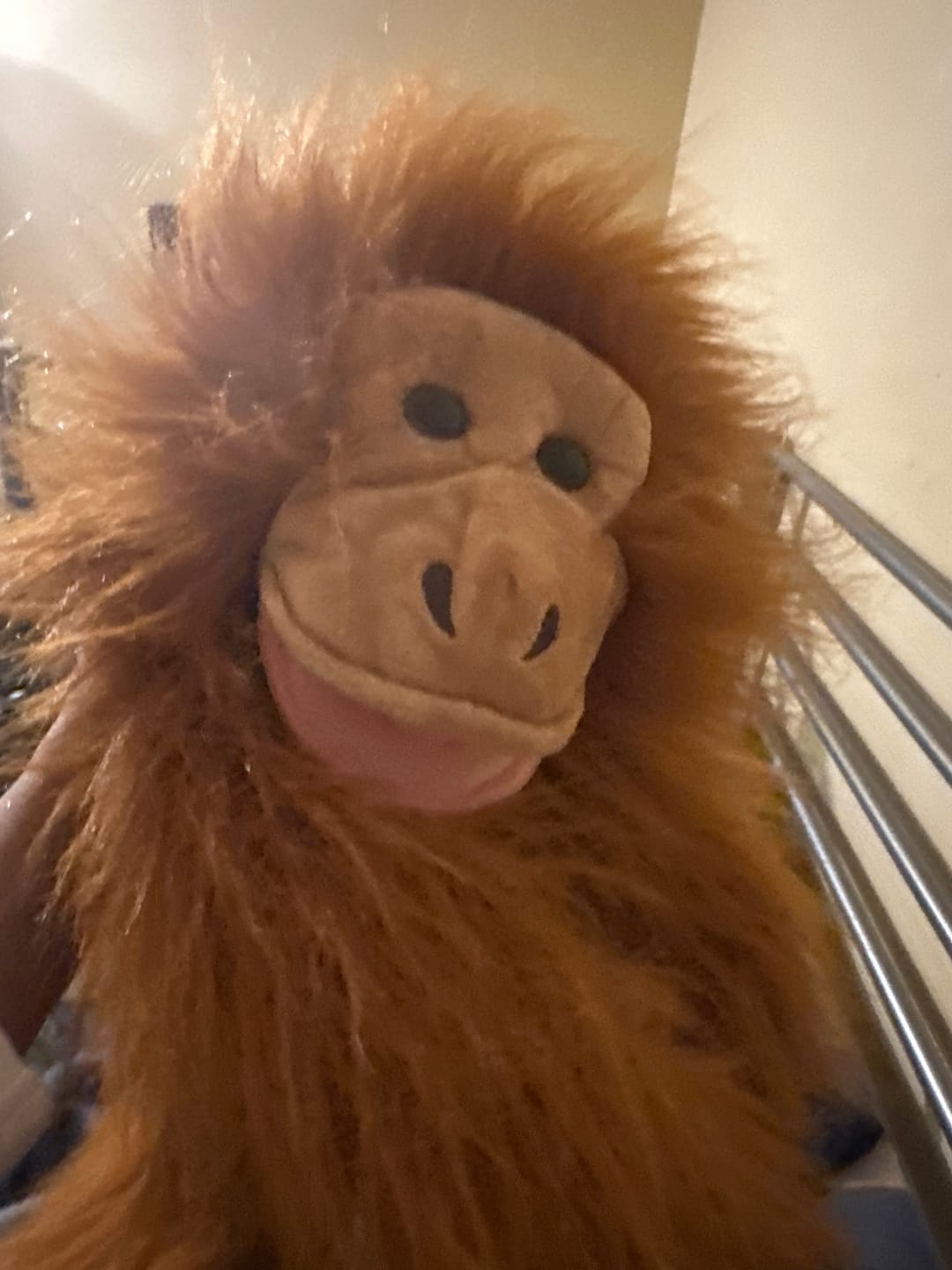 Customer photo review of Orang-outan Marionnette