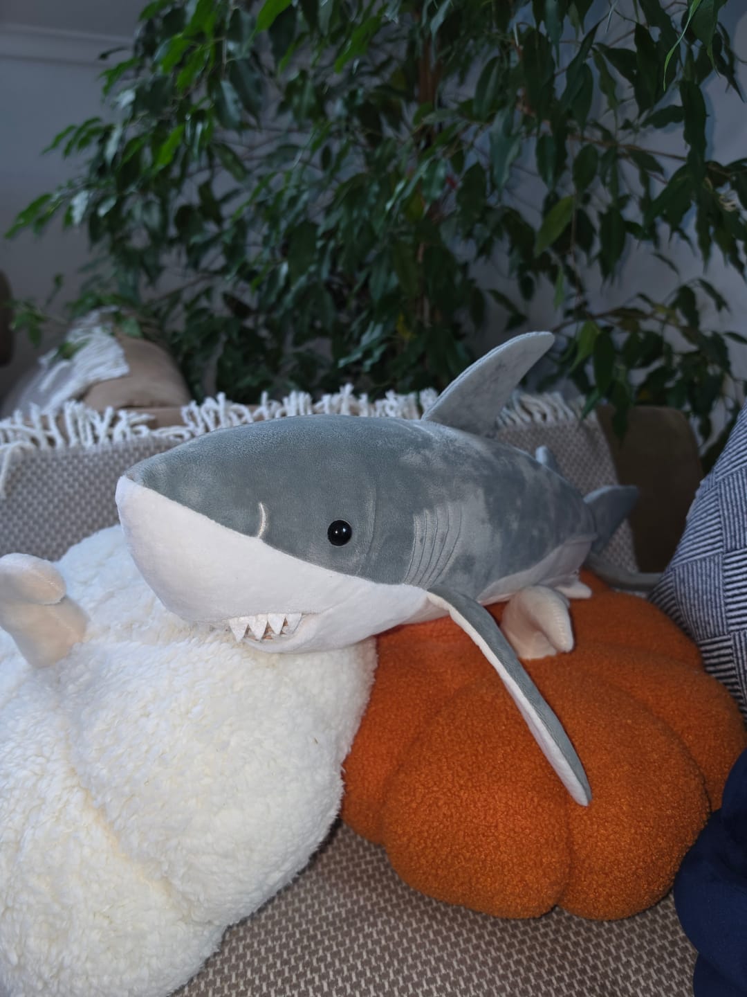 Customer photo review of Great White Shark Soft Stuffed Plush Toy