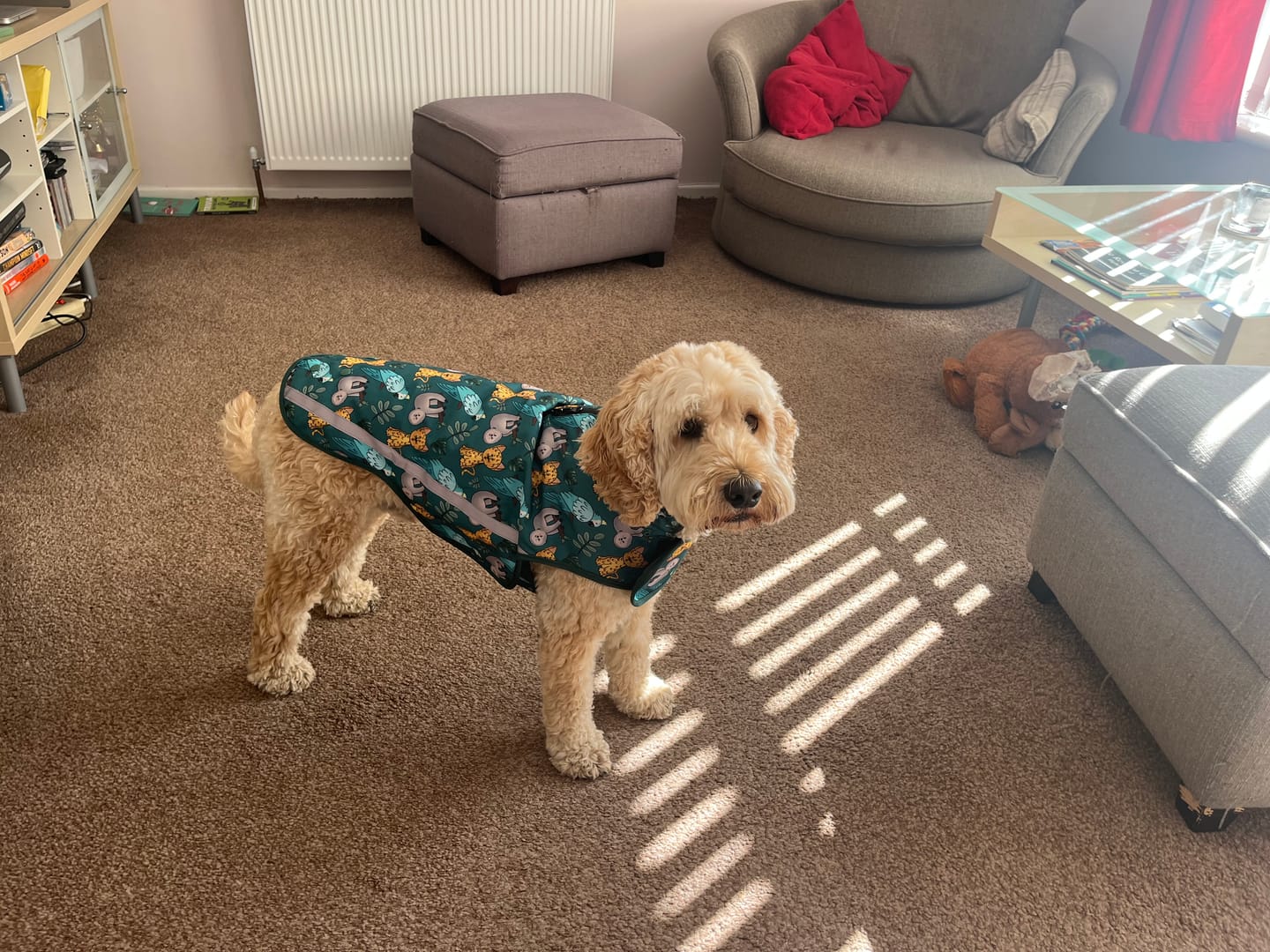 Customer photo review of Rain Jacket - You Cheetah