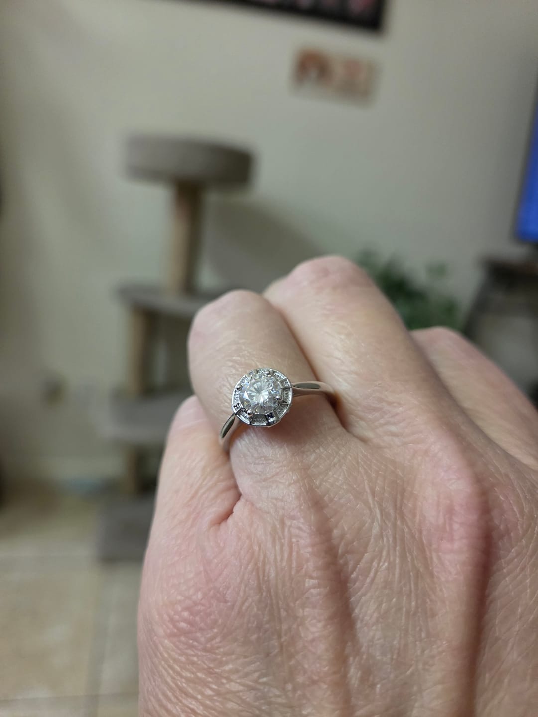 Customer photo review of North Star Halo Compass Solitaire Moissanite Engagement Ring