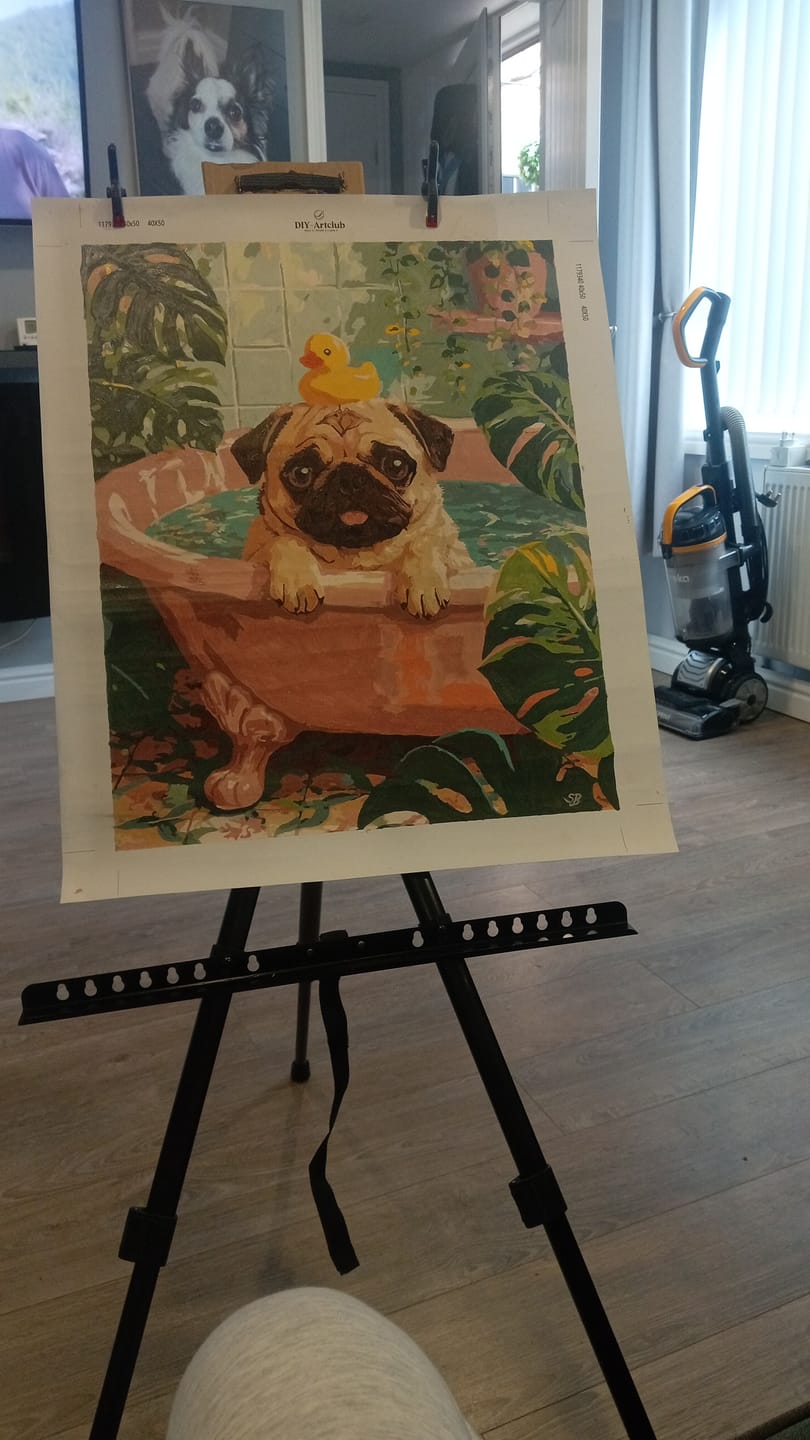 Customer photo review of Funny Bathtime | Paint by Number