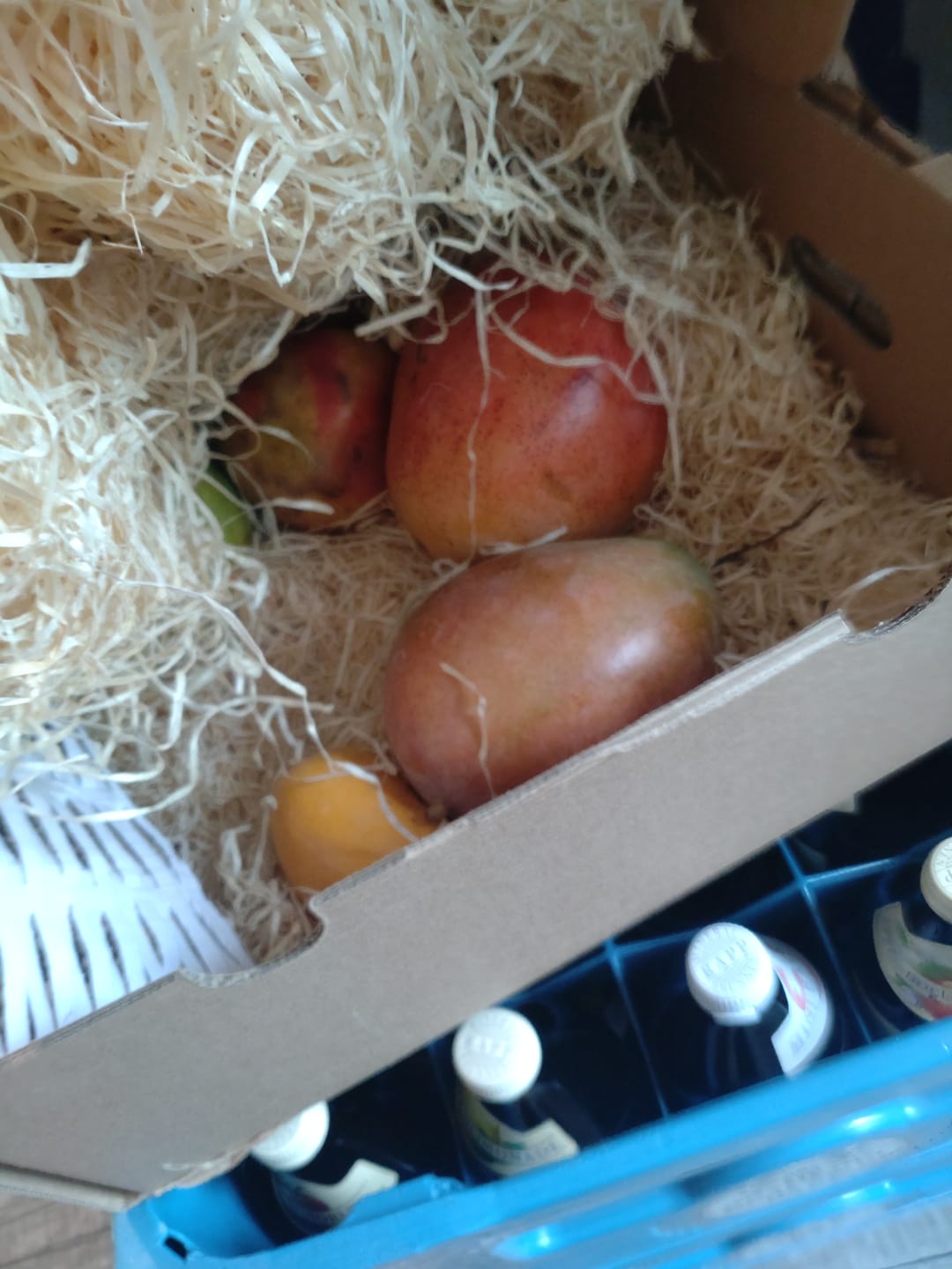 Customer photo review of Mango Mix von Juan 3kg Aktion %