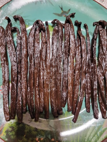 Customer photo review of Vanille Bourbon 500 g – Grand Cru de Madagascar